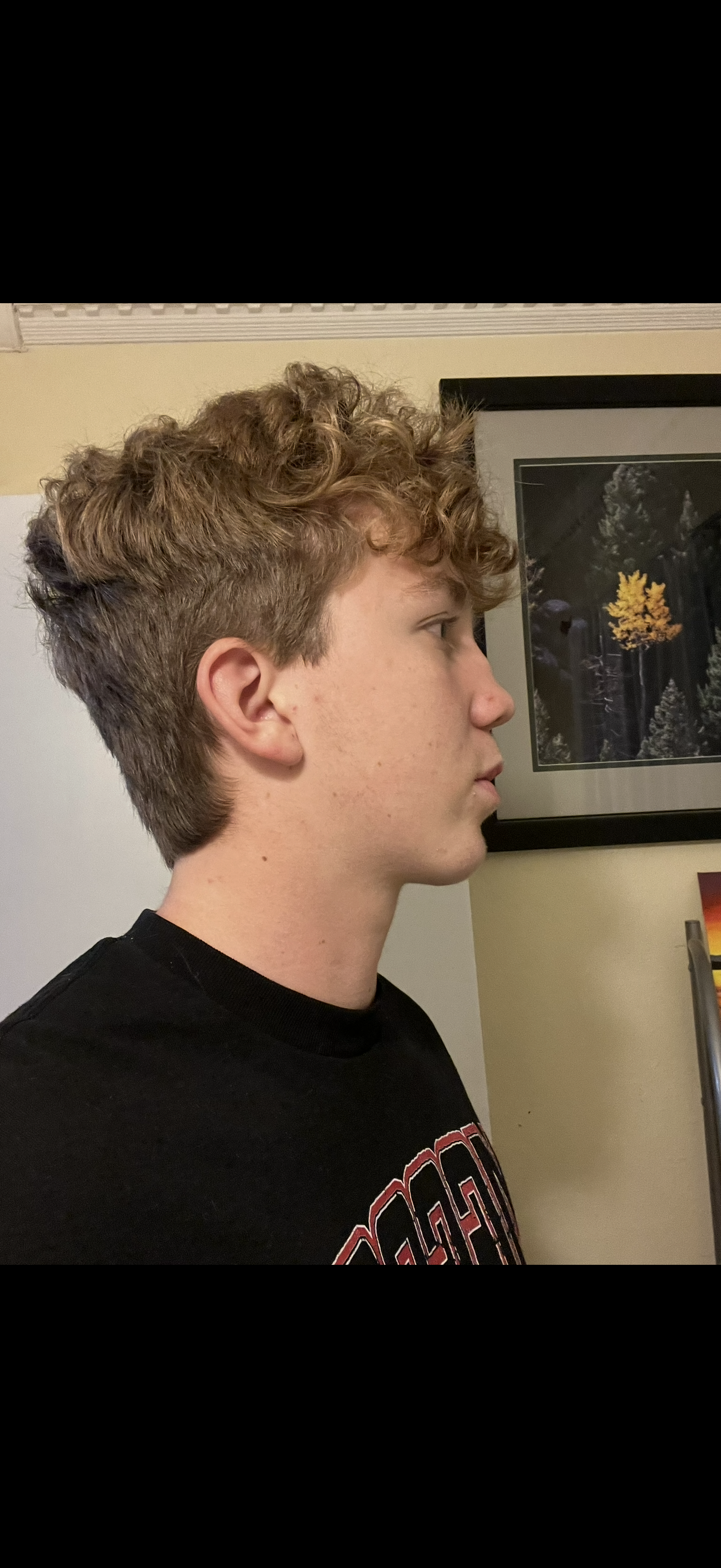 IMG 3782