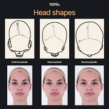 1778441136191