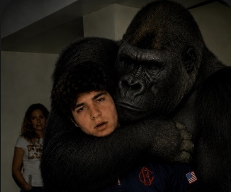 IMG 2176