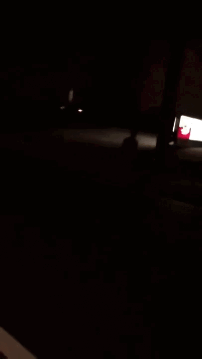 Nigger zombie censored