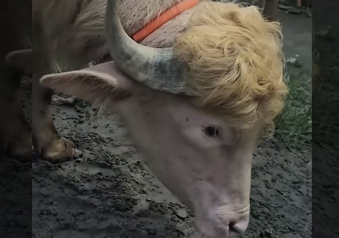50670