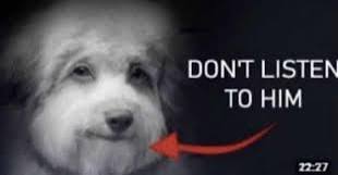 1000026382