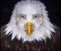 1778528997372