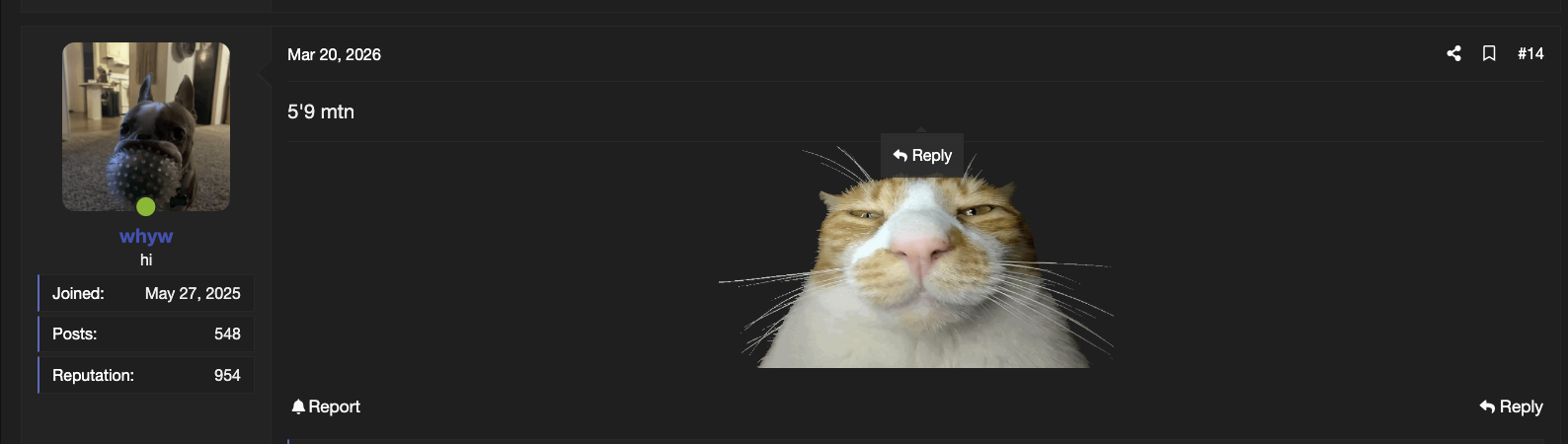Screenshot 2026 05 11 at 105144PM