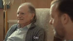 Gay lad