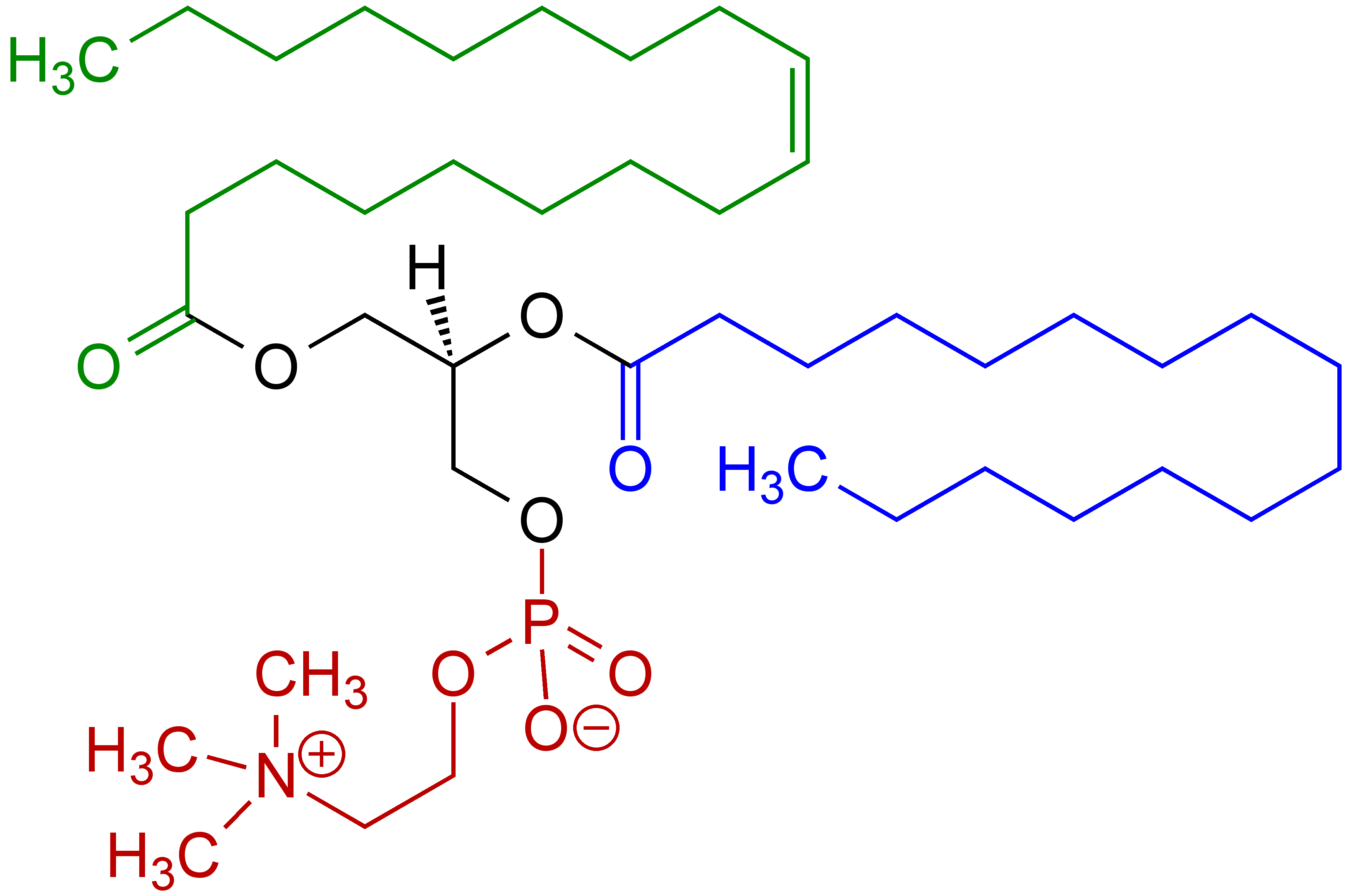1 Oleoyl 2 almitoyl phosphatidylcholine Structural Formulae V1