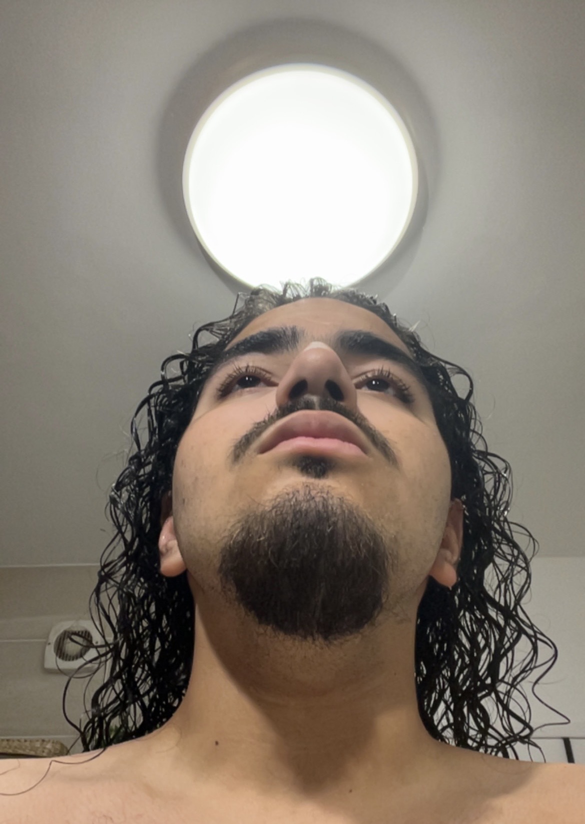 IMG 0557