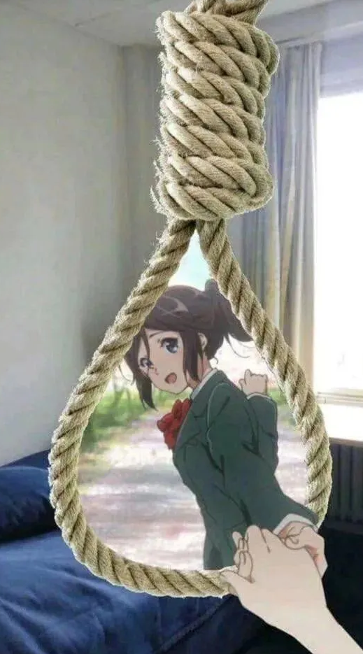 1778586428646