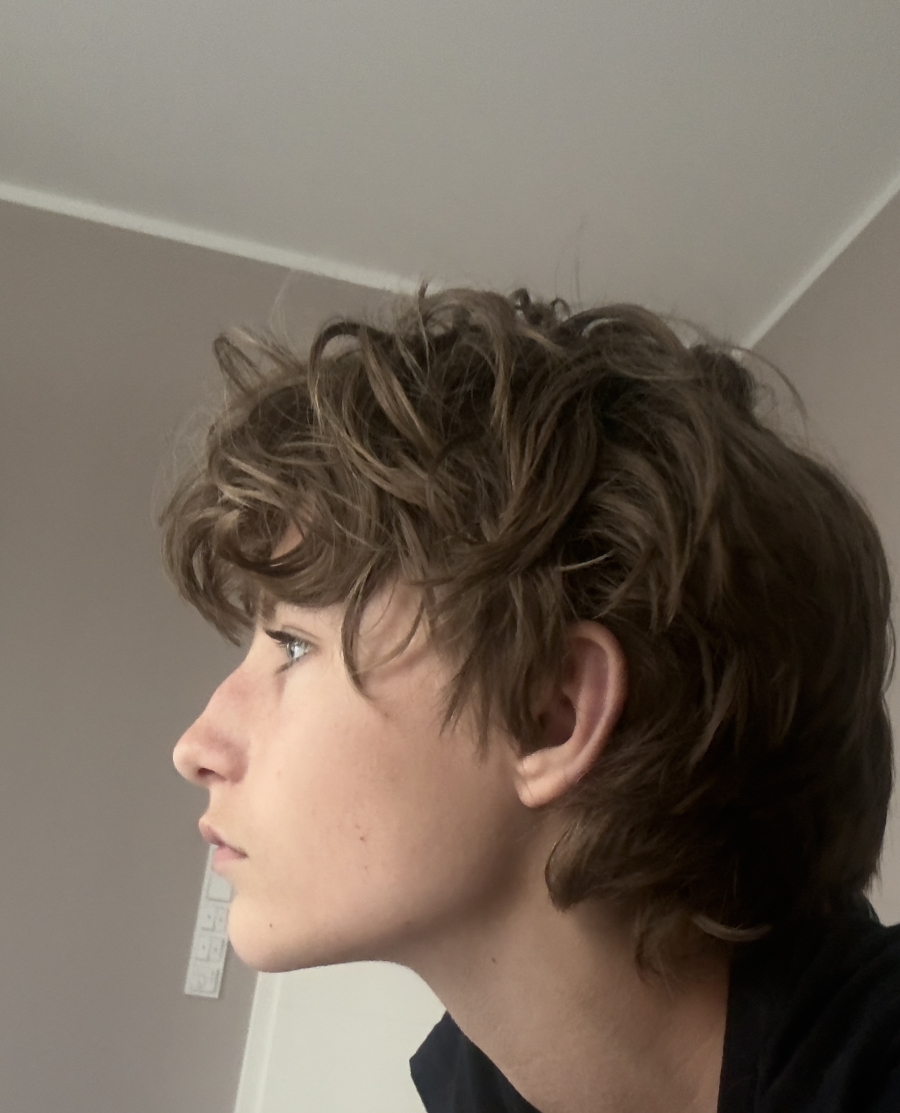 IMG 2373