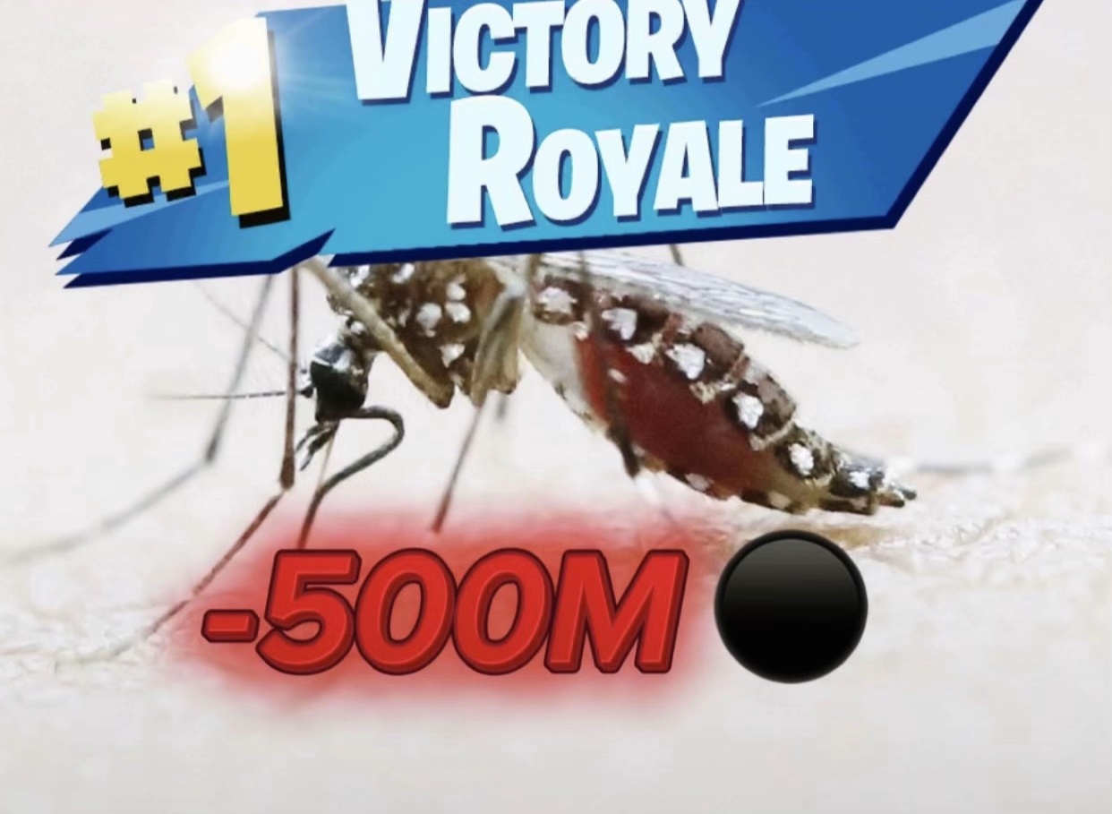 1778610164278