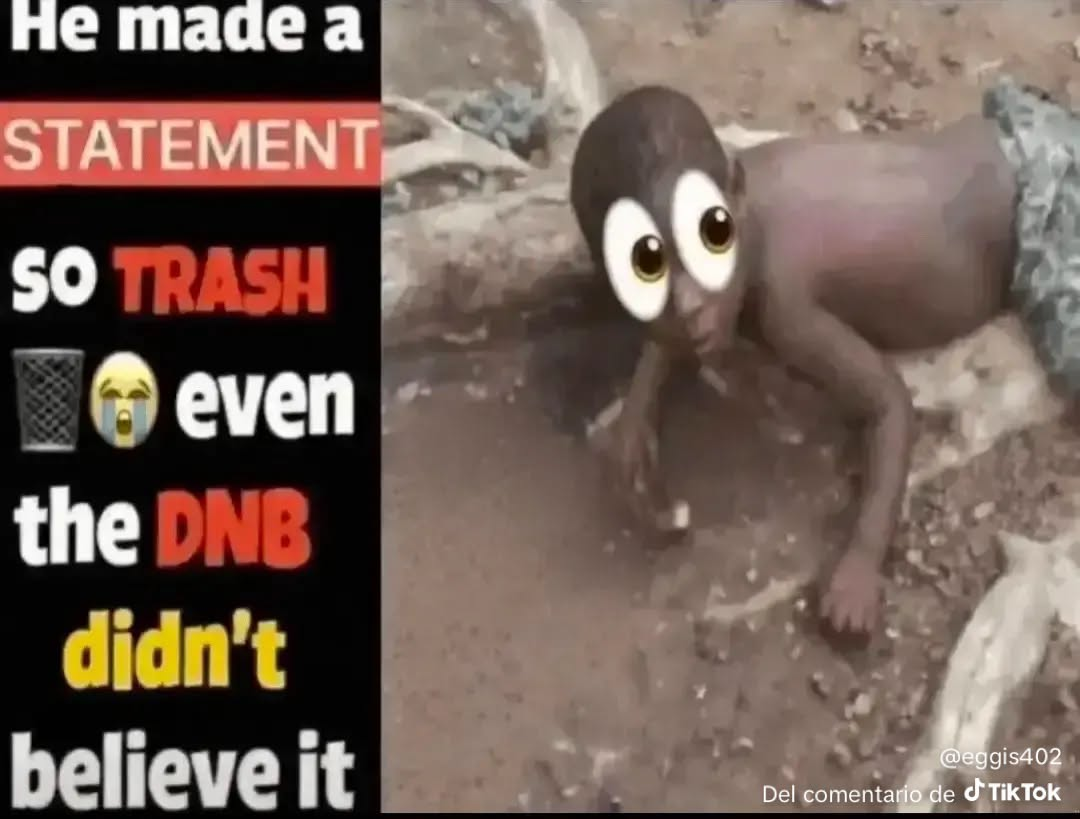 1778616061998