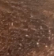1778618155700