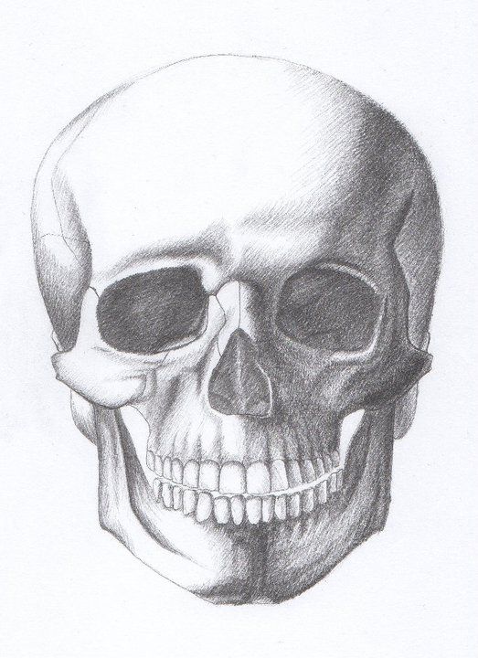 SKULL1