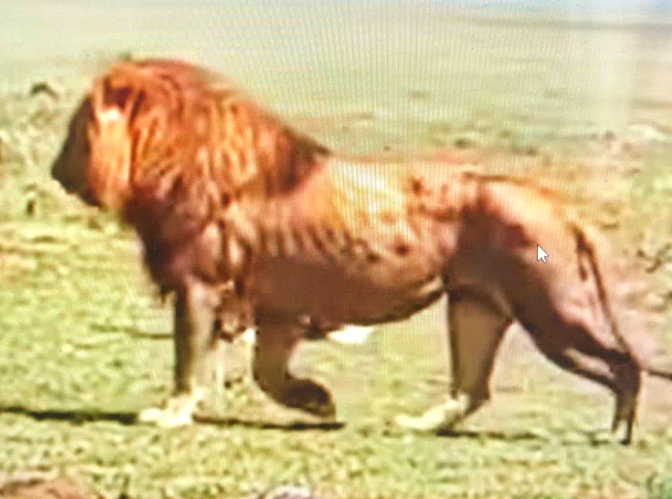 1778633857507