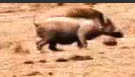 1778634173791