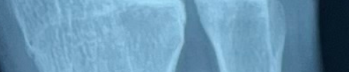 1778635258123