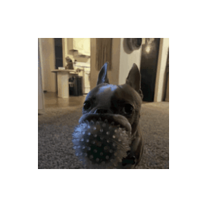 3dgifmaker88199