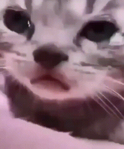 Giphy
