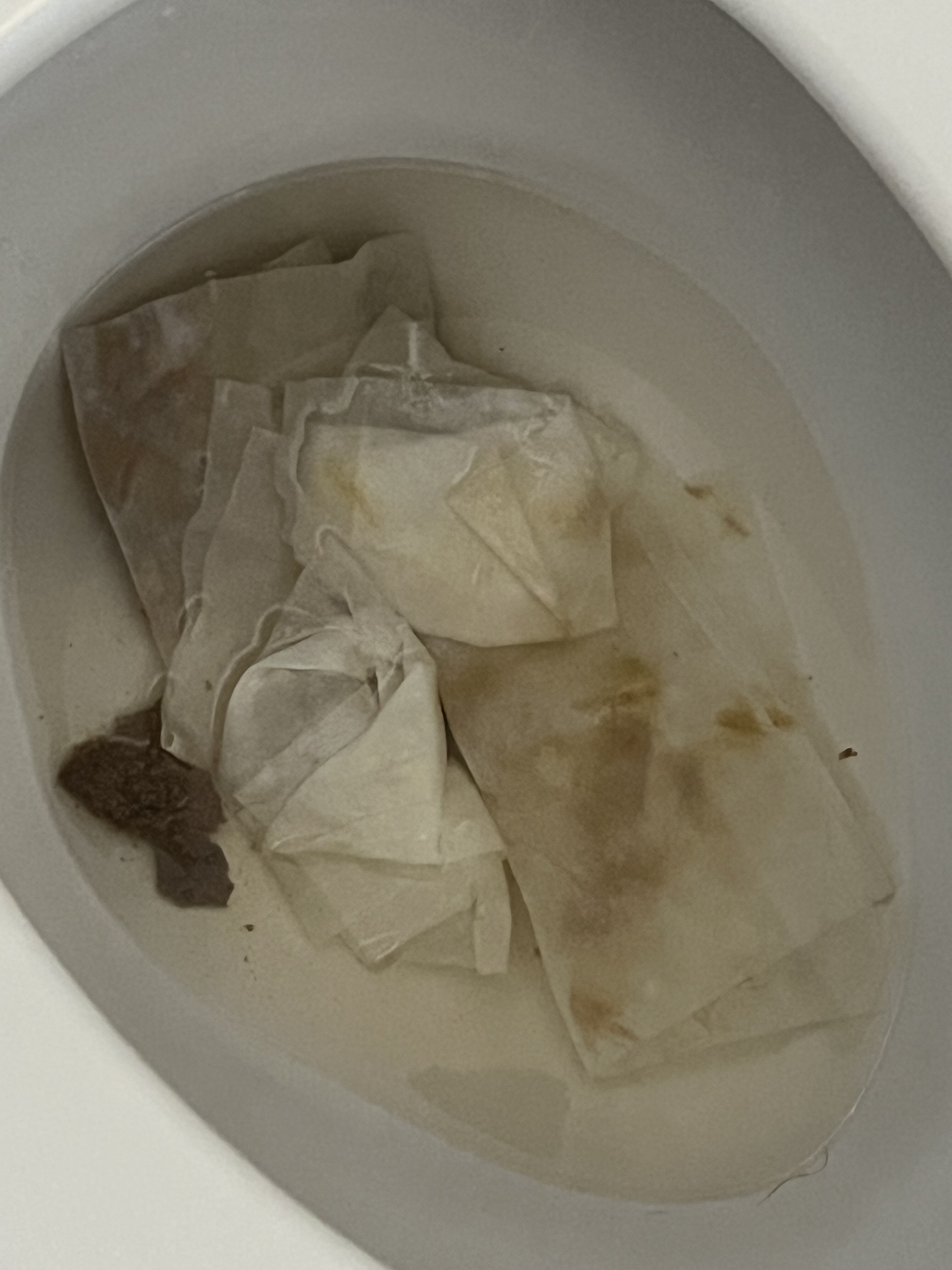 IMG 0203
