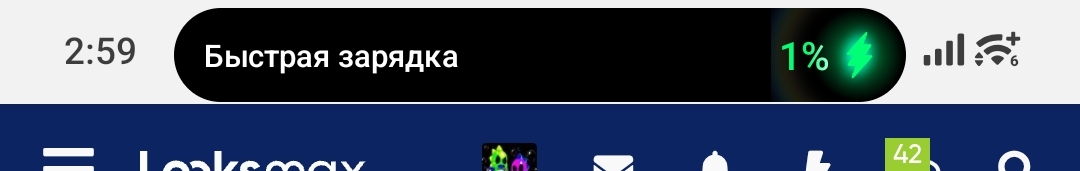 1000075215