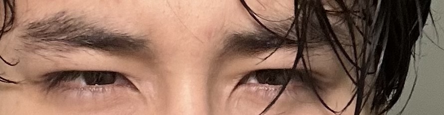 IMG 0595