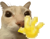 1778729647873
