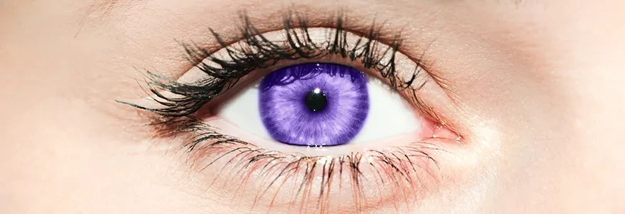 Science behind purple eyes