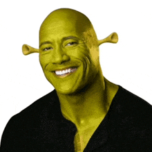 Shrek face shrek meme