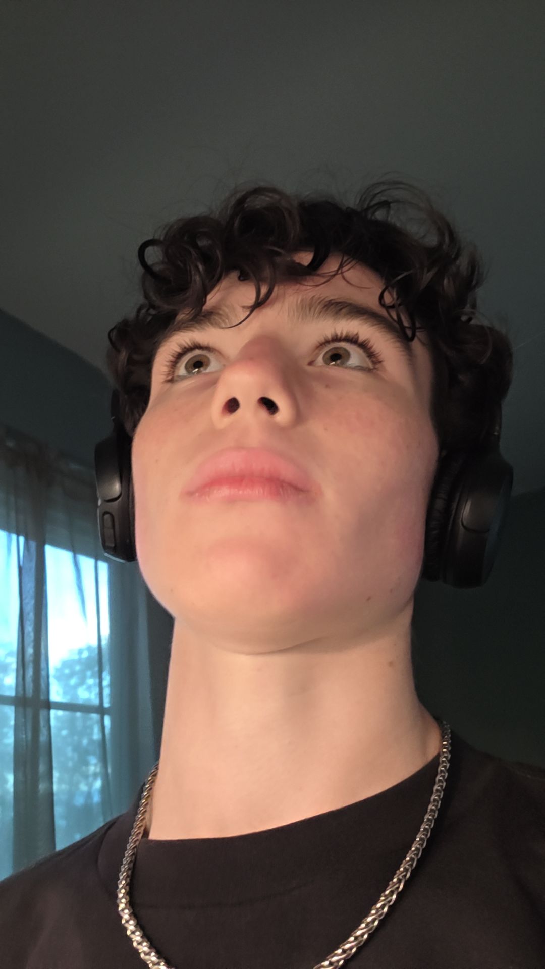 21733