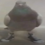 1778789060584
