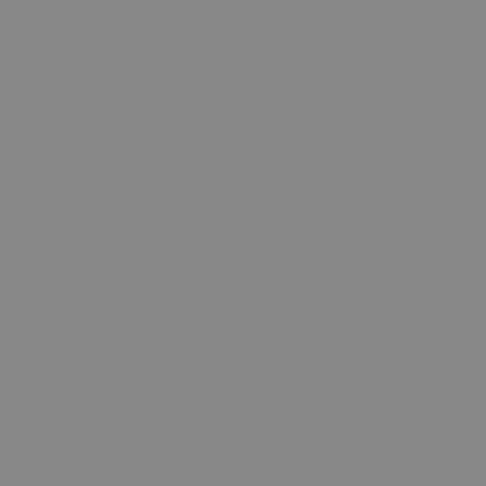 IMG 8951