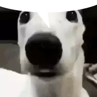 1000064932