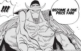 How did you get into one piece? / What made you watch one piece? :  r/MemePiece