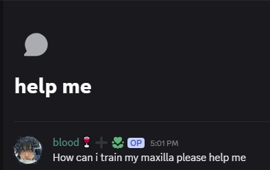 Maxilla