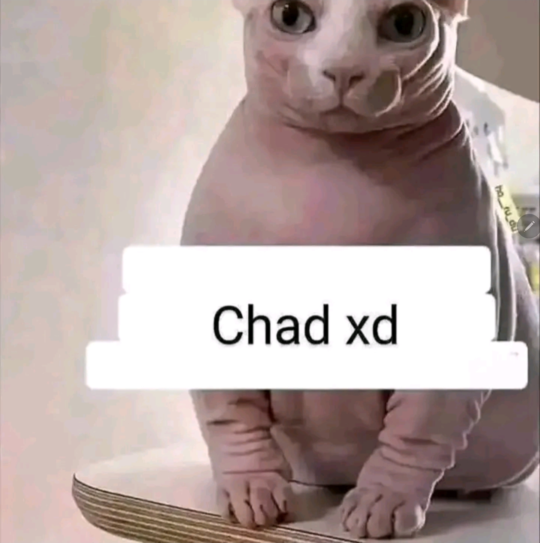 Screenshot 20260403 182631 TikTok
