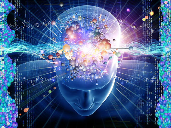 1000101065