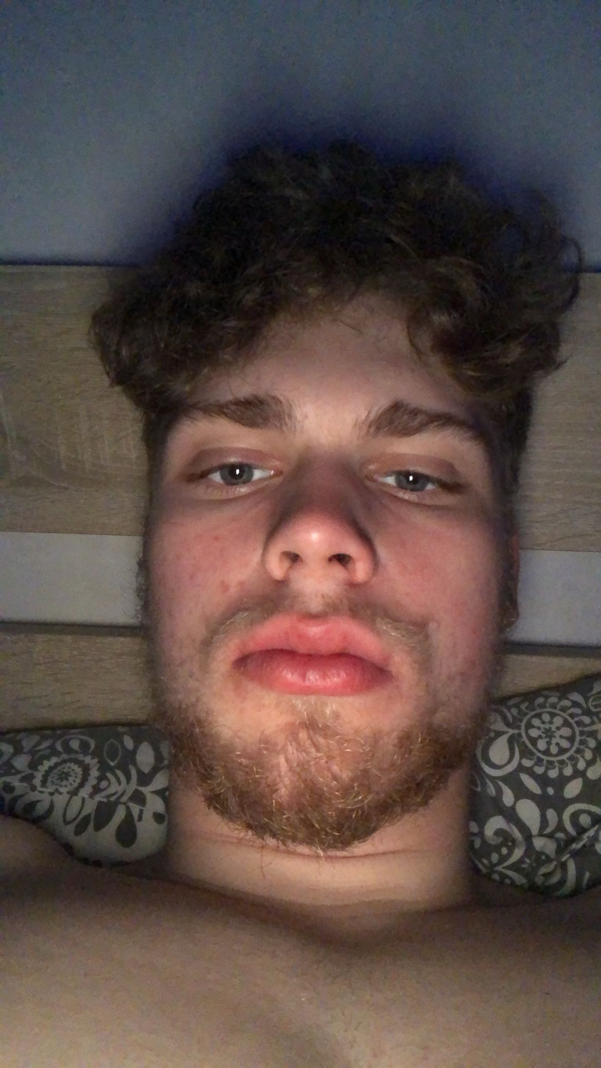 IMG 2614