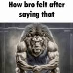1778951520117