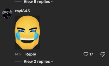 1778960263123