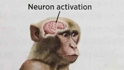 1778967242846