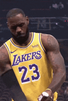 Lebron james lebron
