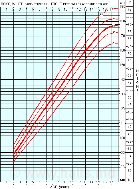 1778976573182