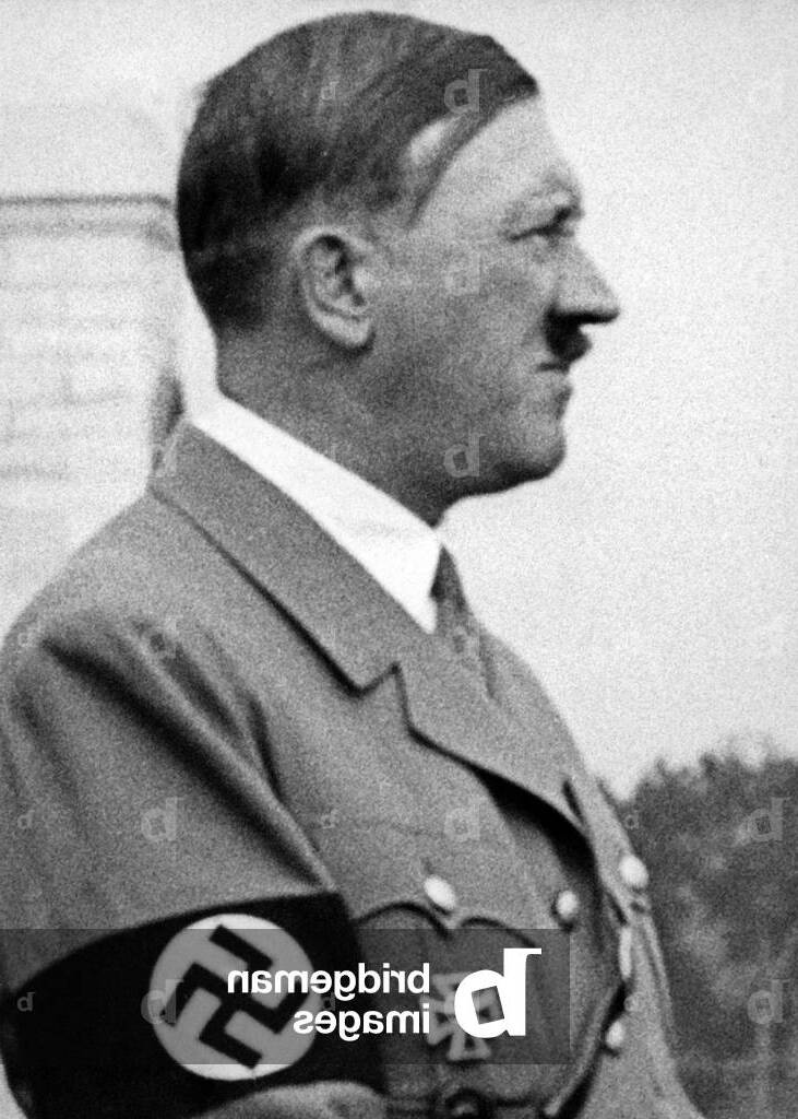 2976278 1
