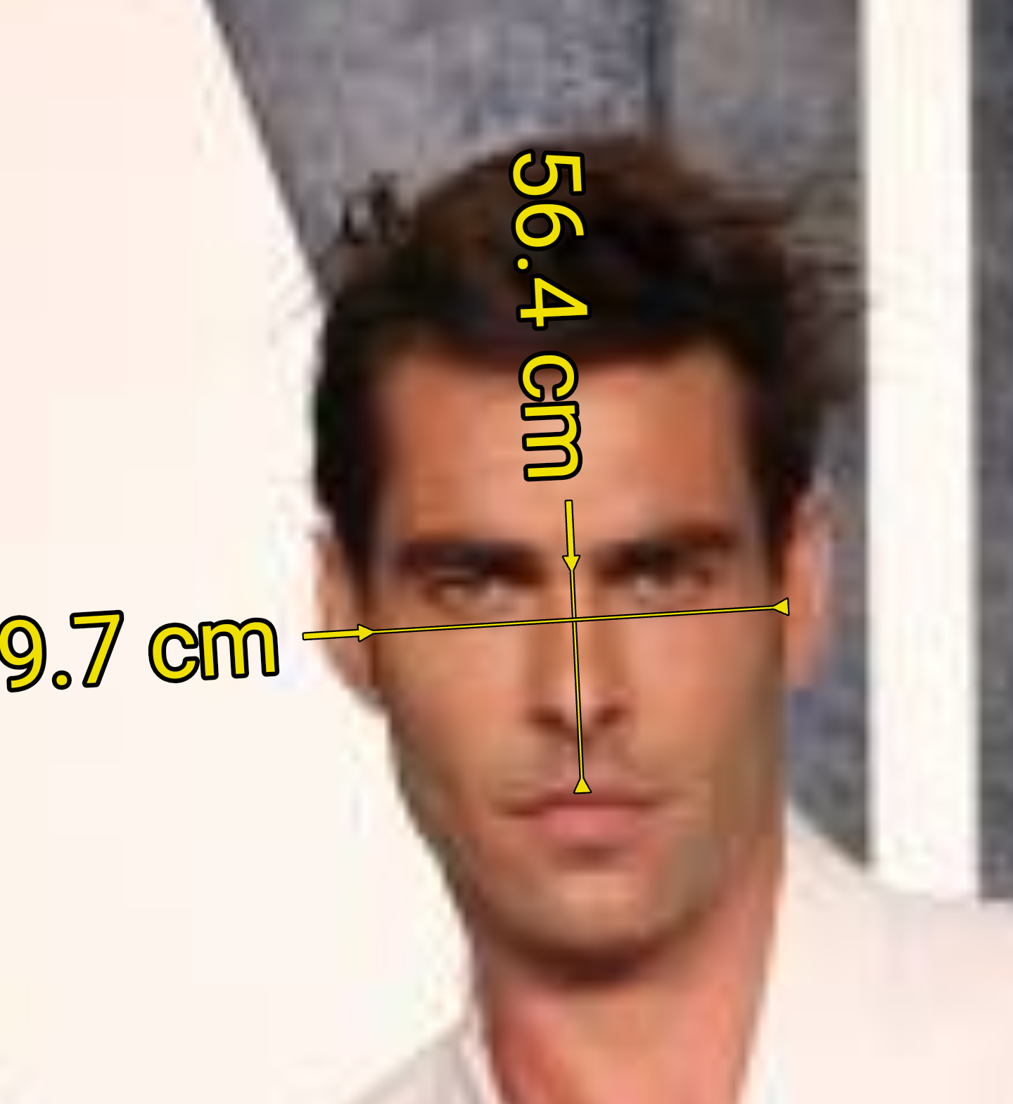 Untitled275 20260517125838