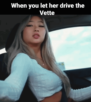 Drivethevette