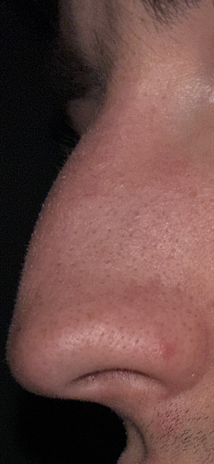IMG 0489