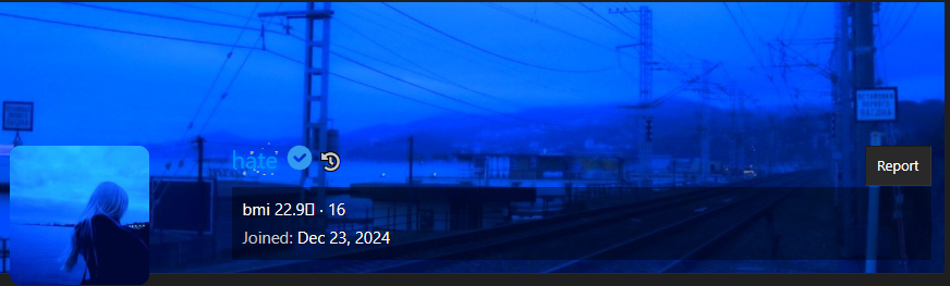 1779086537568