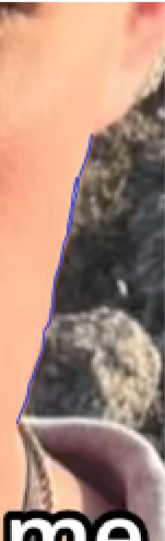 1779104239003