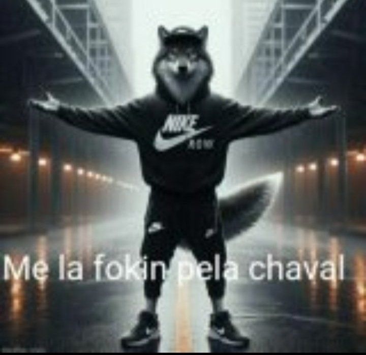 28a8682694fc352a993a3937a69240fe