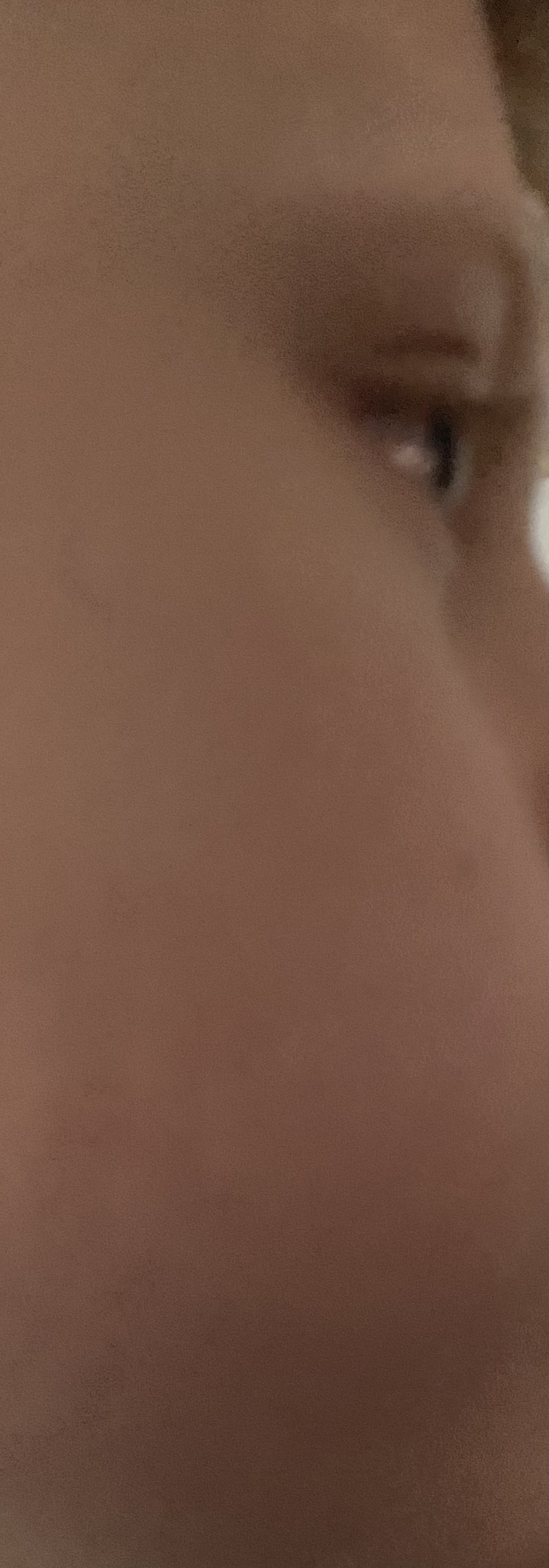 IMG 2623